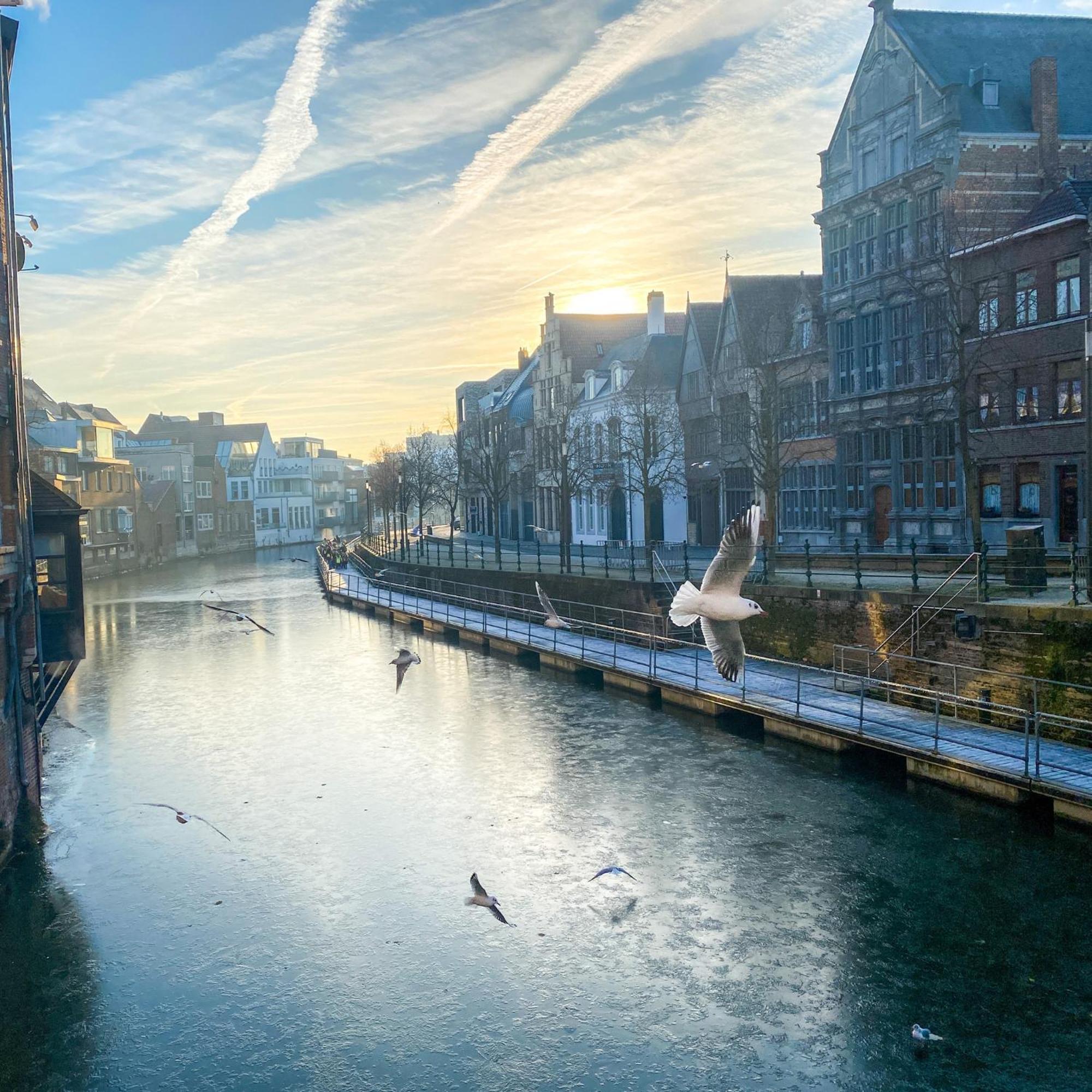 Huis Alna 2 Mechelen Exterior foto